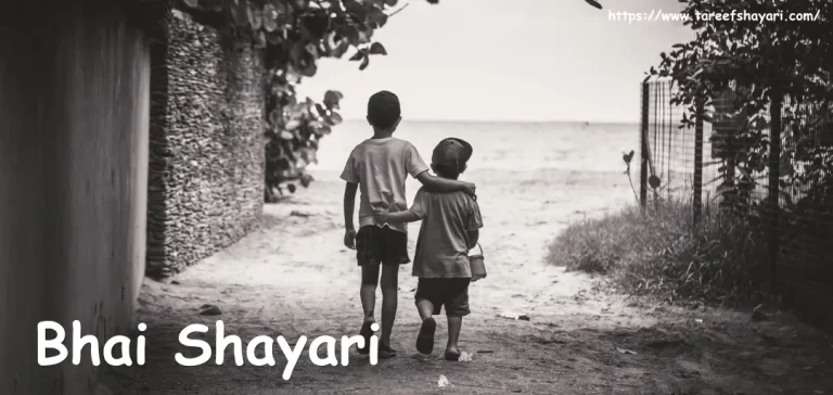 Bhai Shayari (1) bhai shayari 2 line bhai shayari in hindi