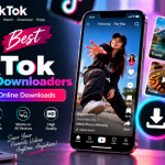 12 Best TikTok Video Downloaders for Easy Online Downloads
